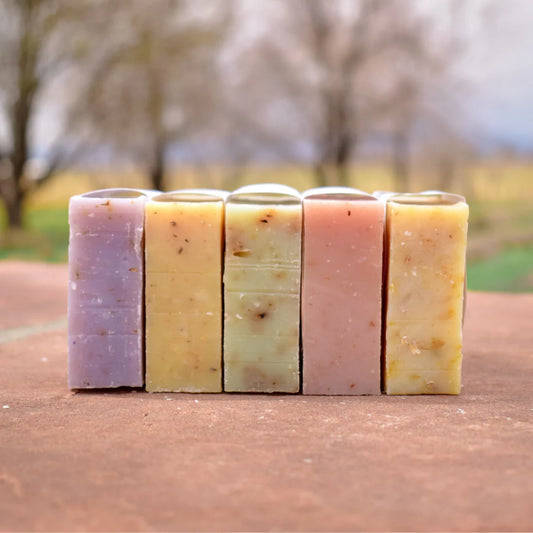 Soap Trial Pack  - Assorted 4 Bars